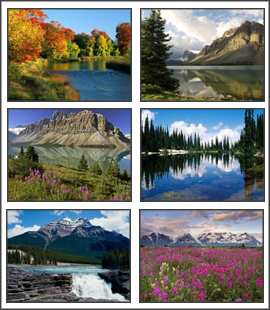Canada Screensaver 1 - Enjoy this high quality free nature screensaver. Guaranteed to be 100% spyware, adware and toolbar free. Most of our screensavers feature 20+ wallpaper size photos, auto rotating with customizable special transition effects. Click on download and have these hi resolution nature photos on your desktop in minutes. You can even set the photos as your wallpaper. - 1000apps.com Canada Screensaver 1 - Enjoy this high quality free nature screensaver. Guaranteed to be 100% spyware, adware and toolbar free. Most of our screensavers feature 20+ wallpaper size photos, auto rotating with customizable special transition effects. Click on download and have these hi resolution nature photos on your desktop in minutes. You can even set the photos as your wallpaper. - 1000apps.com